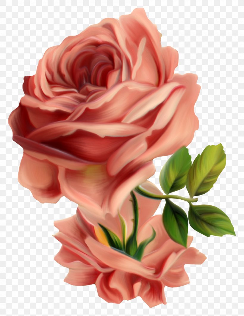 Centifolia Roses Vintage Clothing Flower Pink Clip Art, PNG, 943x1225px, Centifolia Roses, Antique, Art, Artificial Flower, Cut Flowers Download Free