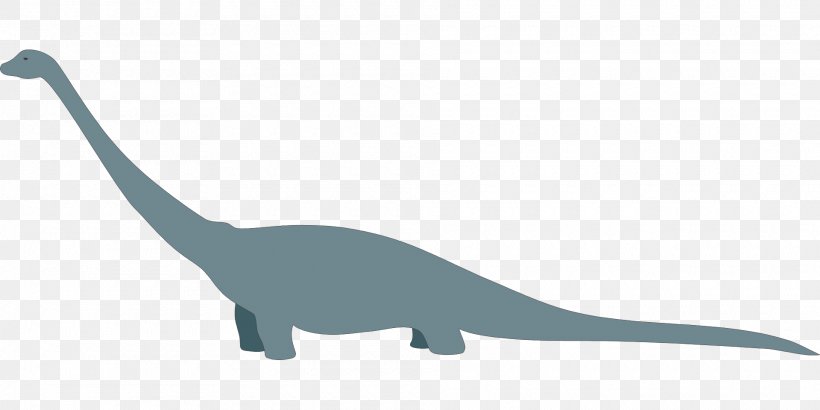 Dinosaur Tyrannosaurus Long Tail Diplodocus Clip Art, PNG, 1920x960px, Dinosaur, Color, Description, Diplodocus, Fauna Download Free