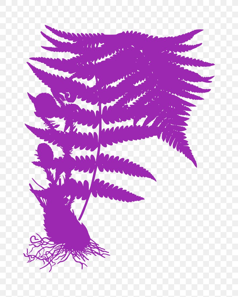 Feather, PNG, 794x1024px, Pink, Feather, Fern, Magenta, Plant Download Free