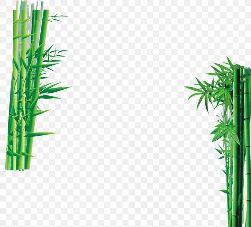 Sweet Bamboo Green, PNG, 1045x948px, Bamboo, Giant Panda, Grass, Grass Family, Grasses Download Free