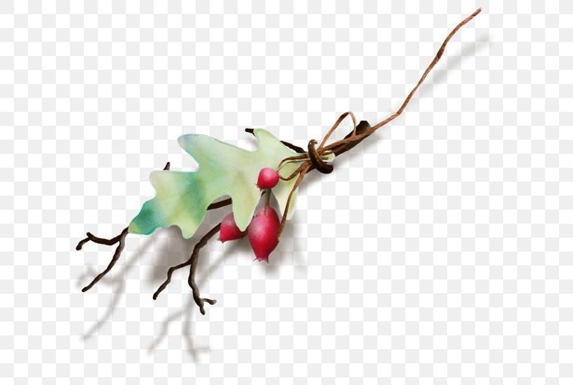 Clip Art, PNG, 650x551px, Computer Software, Branch, Flower, Leaf, Plant Download Free