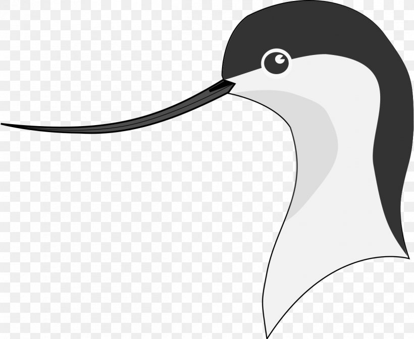 Pied Avocet Beak Penguin Bird Clip Art, PNG, 1249x1024px, Pied Avocet, Adaptation, Avocet, Beak, Bird Download Free