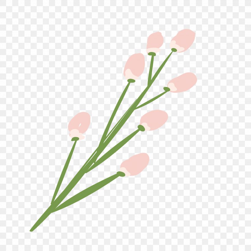 Plants Leaf Petal Image, PNG, 3000x3000px, Plants, Cut Flowers, Drawing, Flower, Flowering Plant Download Free