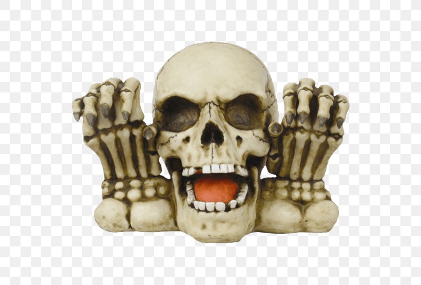 Skull Skeleton Bank Coin Money, PNG, 555x555px, Skull, Bank, Bone, Coin, Figurine Download Free