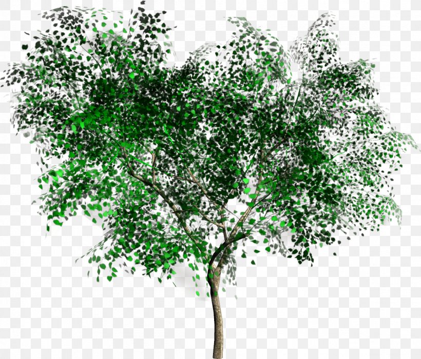 Tree Rendering Clip Art, PNG, 1162x992px, 3d Rendering, Tree, Branch, Data, Flowering Plant Download Free