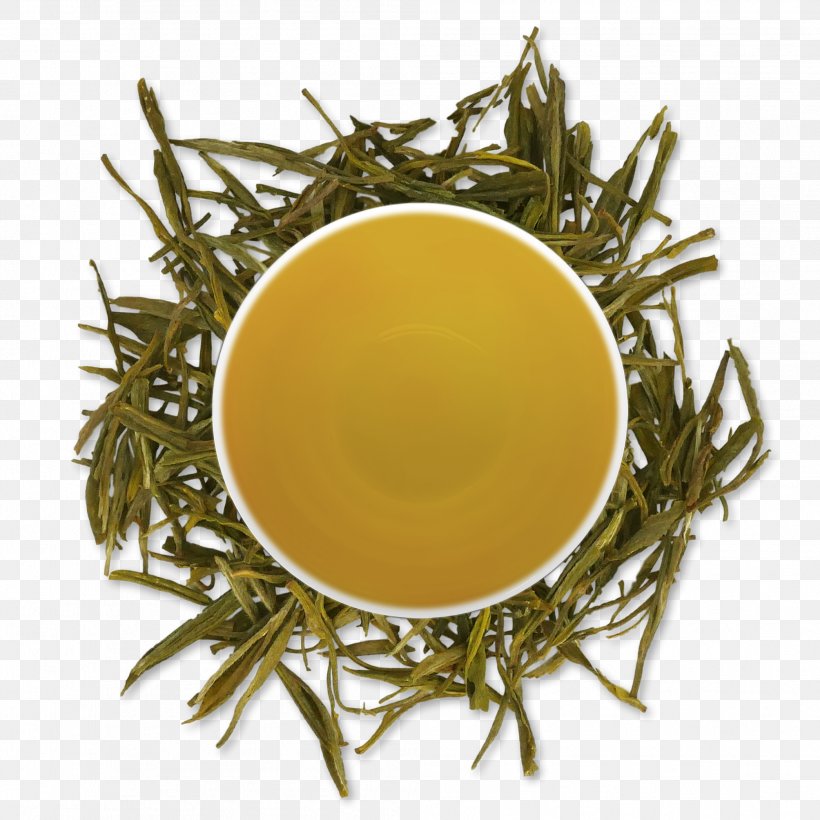 Green Tea Oolong Biluochun White Tea, PNG, 2008x2008px, Tea, Bancha, Biluochun, Black Tea, Camellia Sinensis Download Free