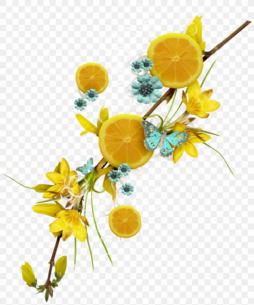 Lemon-lime Drink Auglis Lemon Pepper Fruit, PNG, 2363x2833px, Lemon, Auglis, Branch, Citrus, Cut Flowers Download Free