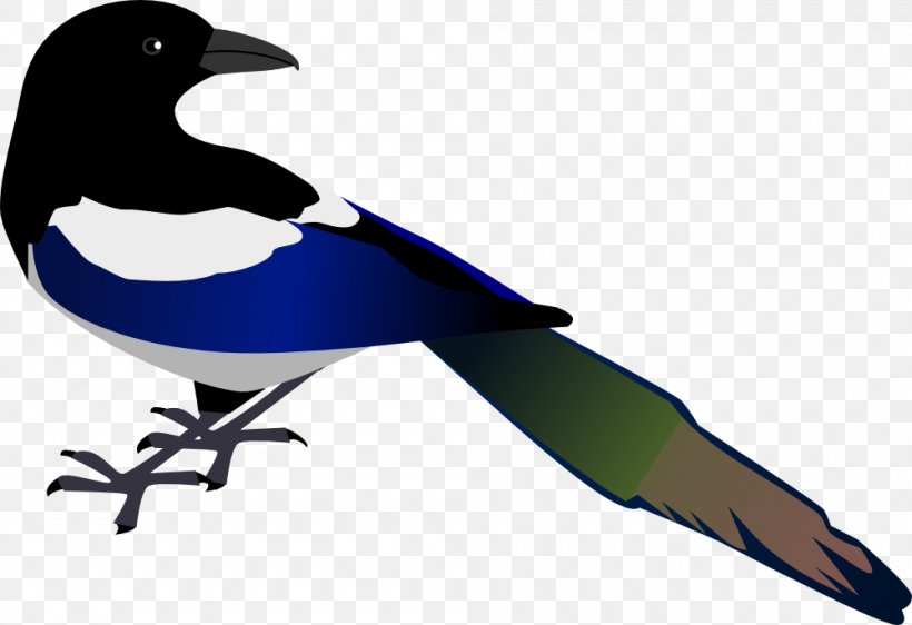 Eurasian Magpie Clip Art, PNG, 1000x686px, Eurasian Magpie, Australian Magpie, Beak, Bird, Blackbilled Magpie Download Free