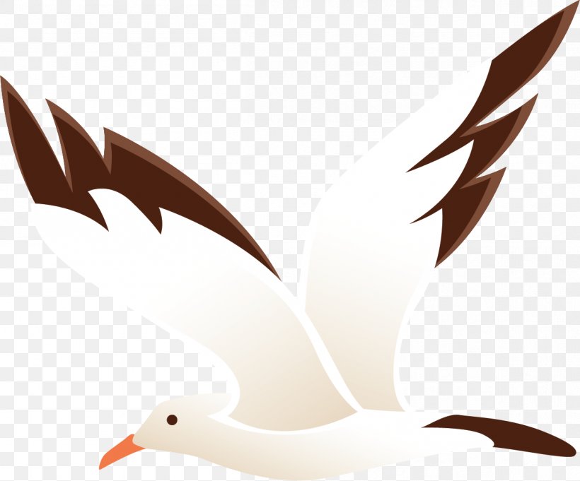 Beak Water Bird Feather Wing, PNG, 1204x1001px, Beak, Bird, Feather, Tail, Water Bird Download Free