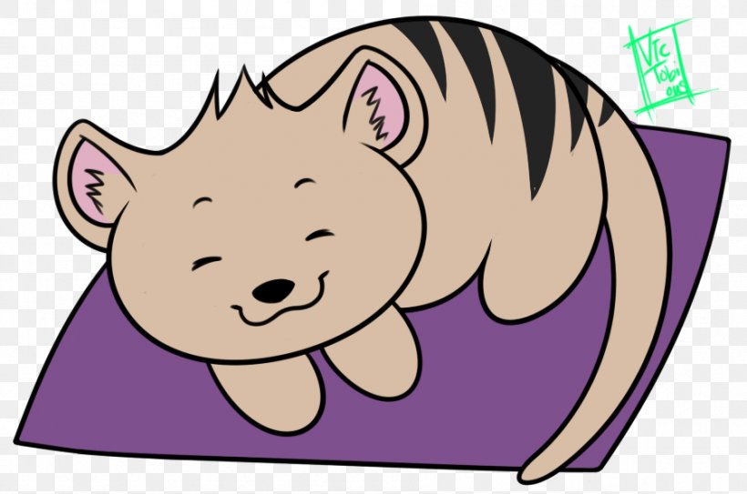 Pig Cat Snowball Neko Atsume Character, PNG, 899x596px, Watercolor, Cartoon, Flower, Frame, Heart Download Free
