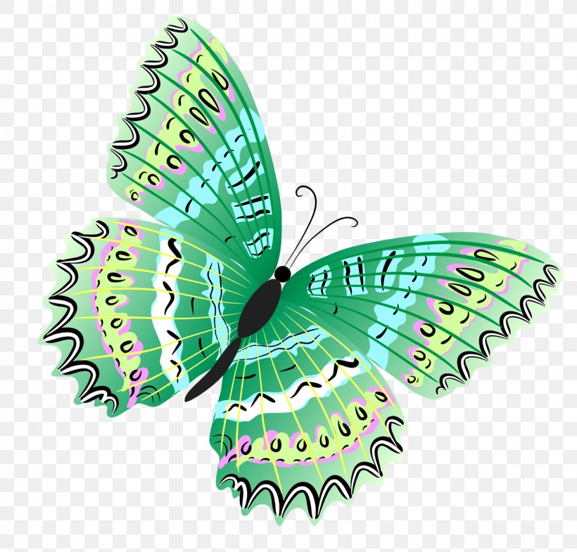 Butterfly Clip Art, PNG, 1629x1560px, Butterfly, Animal, Arthropod, Blue, Brush Footed Butterfly Download Free