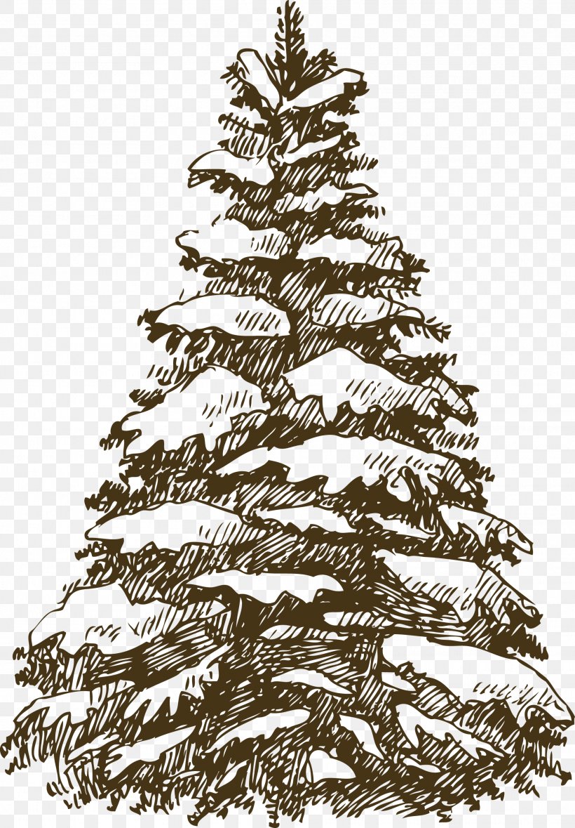 Christmas Tree Fir Christmas Ornament Illustration, PNG, 1972x2837px, Christmas Tree, Black And White, Branch, Christmas Decoration, Christmas Ornament Download Free