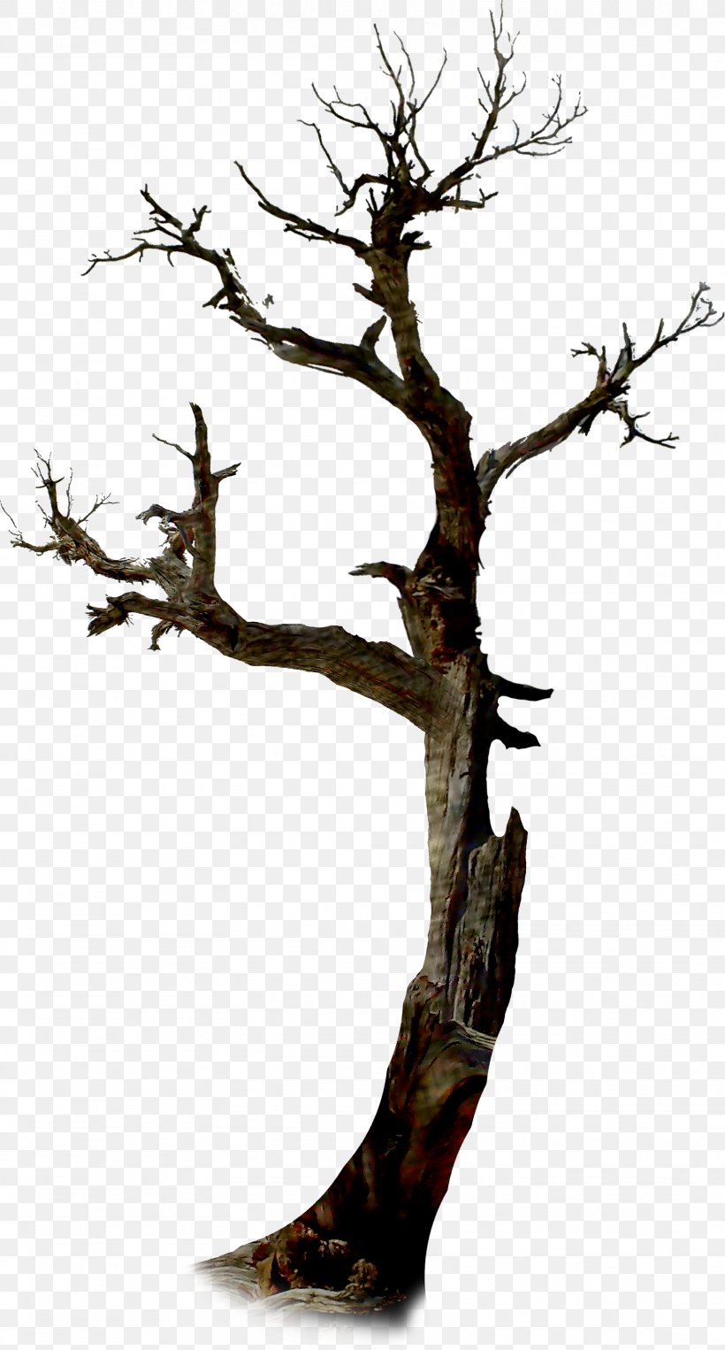 Halloween Tree Clip Art, PNG, 1614x3004px, Halloween, Bonsai, Branch, Holiday, Houseplant Download Free