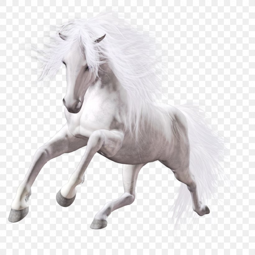 Lipizzan American Paint Horse Mustang Stallion Mare, PNG, 1024x1024px, Lipizzan, American Paint Horse, Animal Figure, Black, Foal Download Free