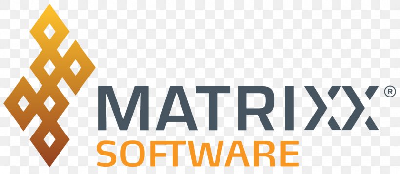 Matrixx Software, Inc. Computer Software Software Development Software Engineer, PNG, 1529x667px, Computer Software, Area, Brand, Business Productivity Software, Client Download Free