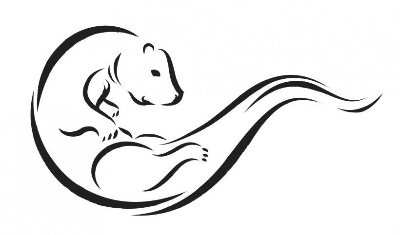 North American River Otter Sea Otter Marinara Sauce Line Art Clip Art, PNG, 1869x1101px, North American River Otter, Artwork, Black And White, Body Jewelry, Canidae Download Free