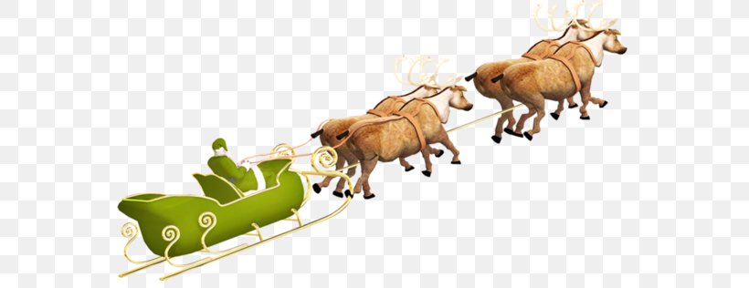 Santa Claus Reindeer Ded Moroz Sled Clip Art, PNG, 600x316px, Santa Claus, Arrenslee, Cattle Like Mammal, Christmas, Cow Goat Family Download Free