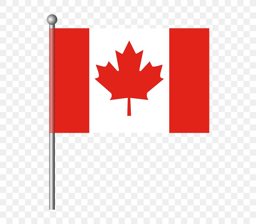 The National Flag Of Canada: A Profile Vector Graphics, PNG, 720x720px, Canada, Area, Flag, Flag Of Canada, Flowering Plant Download Free