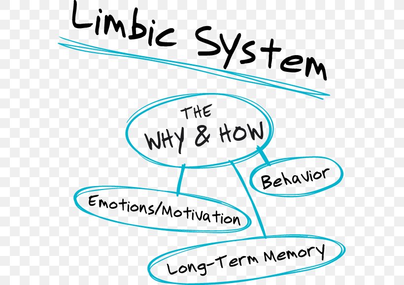 Limbic System Neocortex Triune Brain Hypothalamus, PNG, 585x579px, Limbic System, Adrenal Gland, Agy, Area, Autonomic Nervous System Download Free