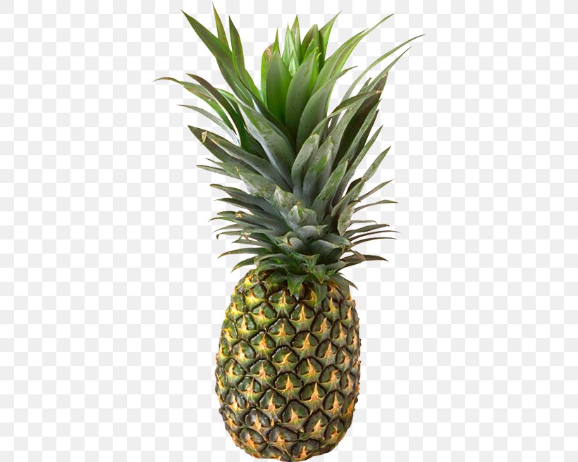 Pineapple Juice Chunk, PNG, 391x656px, Pineapple, Ananas, Bromeliaceae, Chunk, Flowerpot Download Free