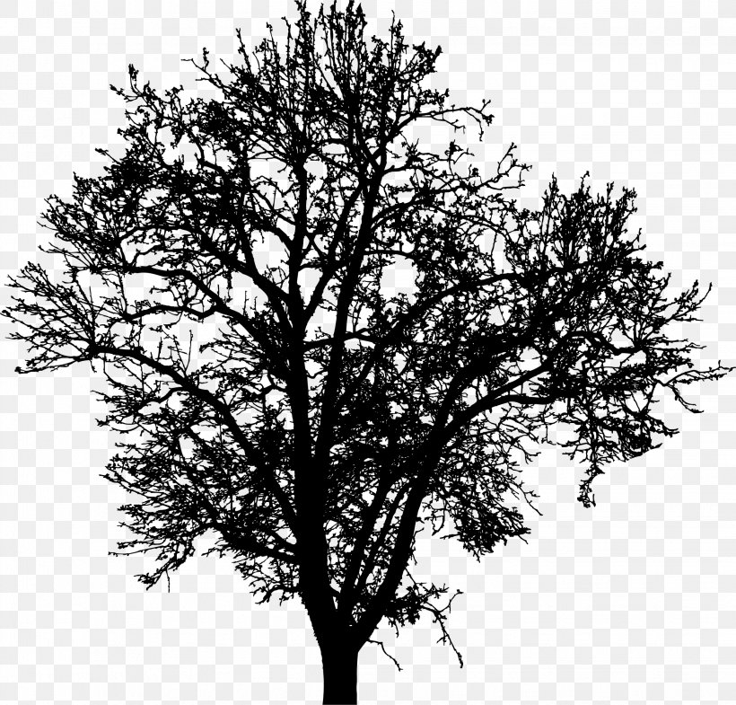 Tree Silhouette Branch Drawing Clip Art, PNG, 2244x2150px, Tree, Black And White, Branch, Drawing, Line Art Download Free
