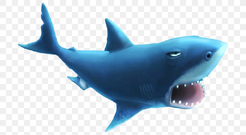 Hungry Shark Evolution Hungry Shark World Great White Shark Megalodon, PNG, 709x450px, Hungry Shark Evolution, Blacktip Reef Shark, Carcharhiniformes, Cartilaginous Fish, Electric Blue Download Free