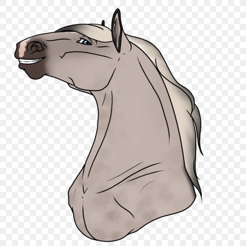 Mule Mustang Donkey Stallion Mane, PNG, 894x894px, Mule, Animal Figure, Art, Bridle, Canidae Download Free