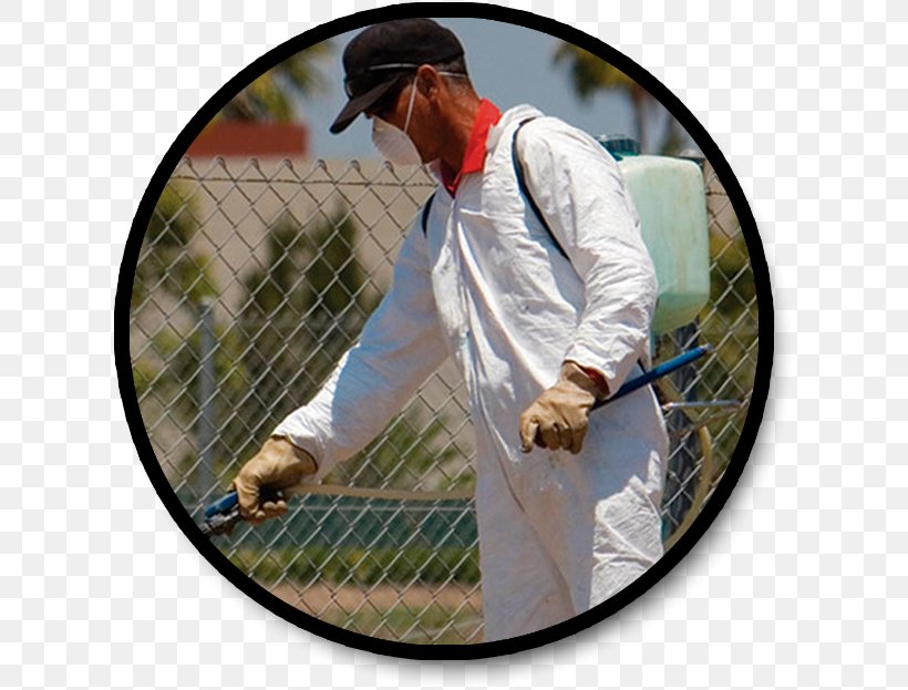 Pest Control Fumigation Termite Weed Control, PNG, 617x623px, Pest Control, Business, Cleaner, Cockroach, Exterminator Download Free