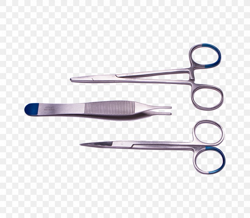 Scissors Surgical Suture Forceps Needle Holder Whelping Box, PNG, 856x748px, Scissors, Blade, Centimeter, Forceps, Hair Download Free