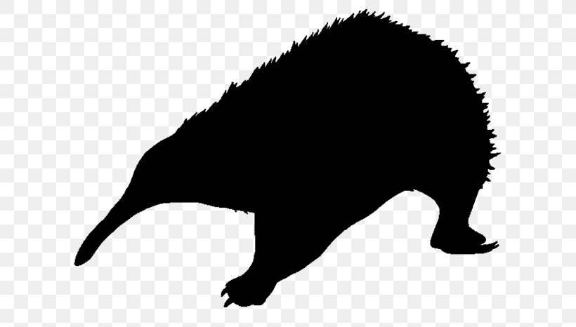 Silhouette Flying Squirrel Animal, PNG, 700x466px, Silhouette, Animal, Beak, Black, Black And White Download Free