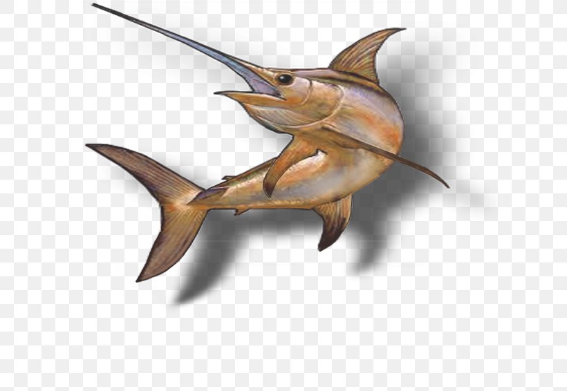 Swordfish Fauna Beak Tail, PNG, 650x566px, Swordfish, Beak, Fauna, Fin, Fish Download Free