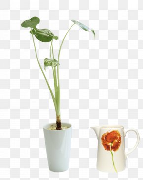 Creative Pull Balcony Bonsai Free - Vase Flowerpot PNG