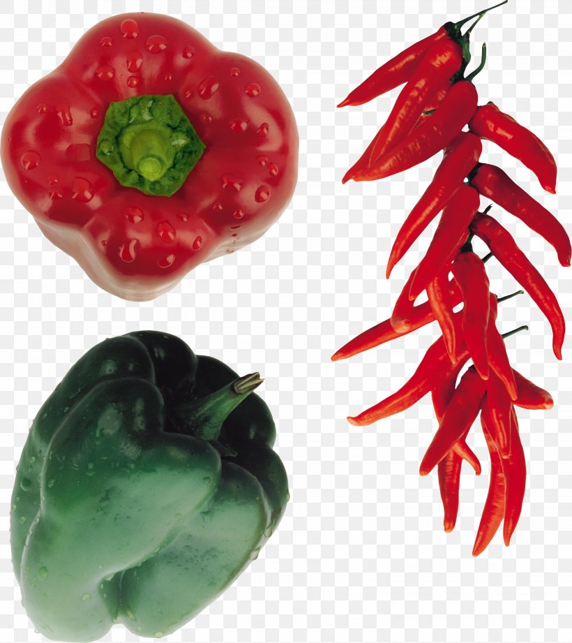 Bird's Eye Chili Cayenne Pepper Bell Pepper Chili Pepper Vegetable, PNG, 3108x3491px, Bird S Eye Chili, Bell Pepper, Bell Peppers And Chili Peppers, Black Pepper, Capsicum Download Free