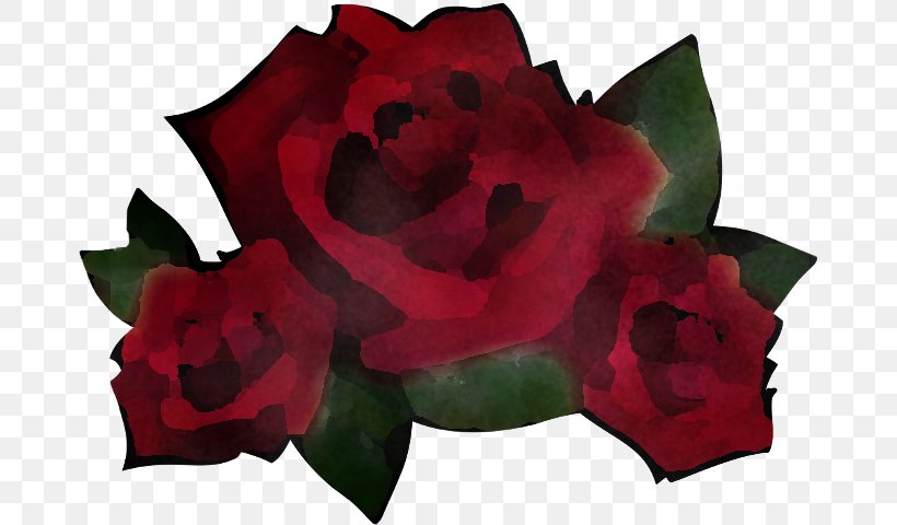 Garden Roses, PNG, 678x480px, Red, Flower, Flowering Plant, Garden Roses, Hybrid Tea Rose Download Free