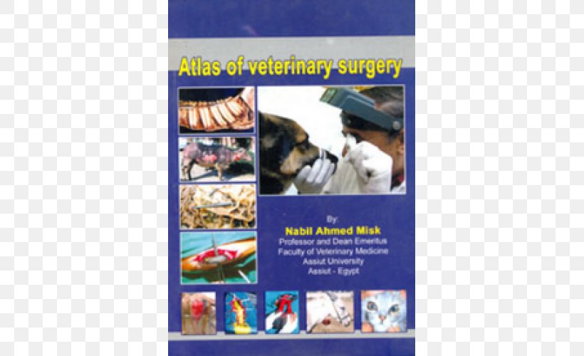 Veterinary Surgery Veterinary Medicine Musk Abjad, PNG, 500x500px, Surgery, Abjad, Advertising, Flyer, Musk Download Free