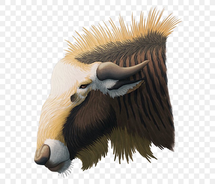 Prehistory Rusingoryx Wildebeest Mammoth Extinction, PNG, 605x700px, Prehistory, Anteater, Beak, Bird, Bovid Download Free