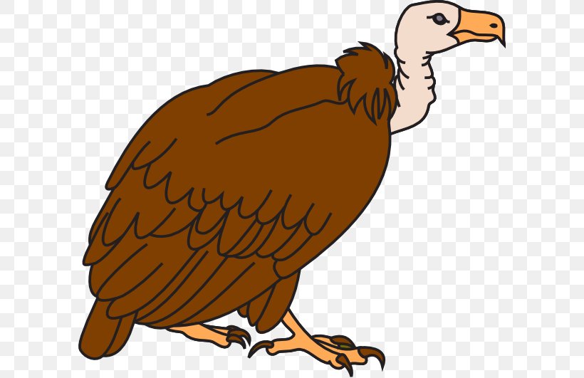 Beaky Buzzard Vulture Cartoon Clip Art, PNG, 600x531px, Beaky Buzzard, Art, Bald Eagle, Beak, Bird Download Free
