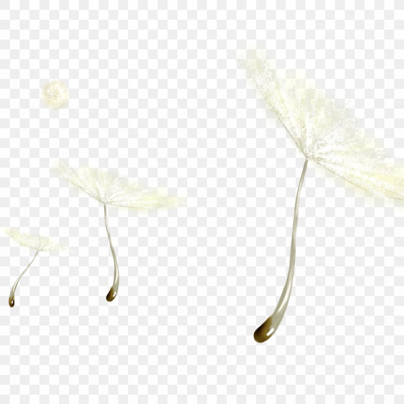 Black And White Dandelion, PNG, 1181x1181px, White, Beige, Black And White, Dandelion, Drawing Download Free