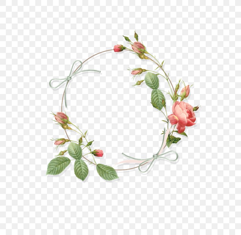 Borders And Frames Rose Picture Frames Clip Art, PNG, 800x800px, Borders And Frames, Artificial Flower, Blossom, Branch, Flora Download Free