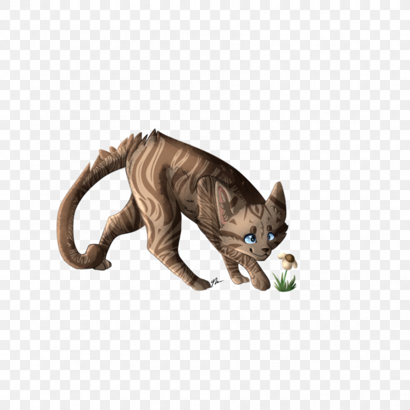 Cat Whiskers Rising Storm Warriors Littlecloud, PNG, 894x894px, Cat, Carnivoran, Cat Like Mammal, Cinderpelt, Claw Download Free