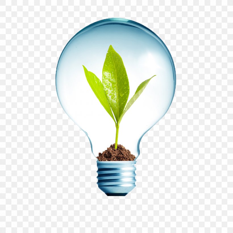Energy Conservation Renewable Energy Energy Industry Hydropower, PNG, 1000x1000px, Energy, Alternative Energy, Business, Efficient Energy Use, Electricity Download Free