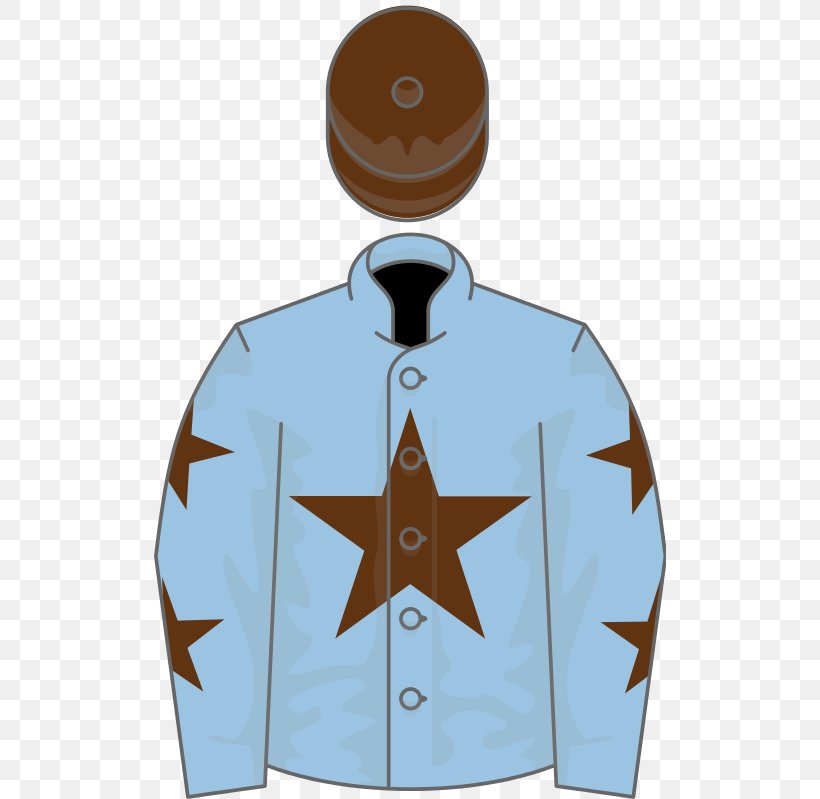 Lingfield Oaks Trial Toast Of New York Thoroughbred Star, PNG, 512x799px, Lingfield Oaks Trial, Distance, Jacket, Meter, Neck Download Free