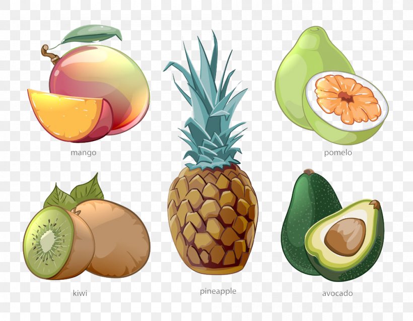 Pomelo Tropical Fruit Pineapple, PNG, 1000x778px, Pomelo, Ananas, Auglis, Avocado, Bromeliaceae Download Free