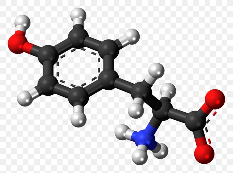 Tyrosine Norepinephrine Levodopa Amino Acid Phenylalanine, PNG, 1024x760px, Tyrosine, Alanine, Amino Acid, Body Jewelry, Brain Download Free