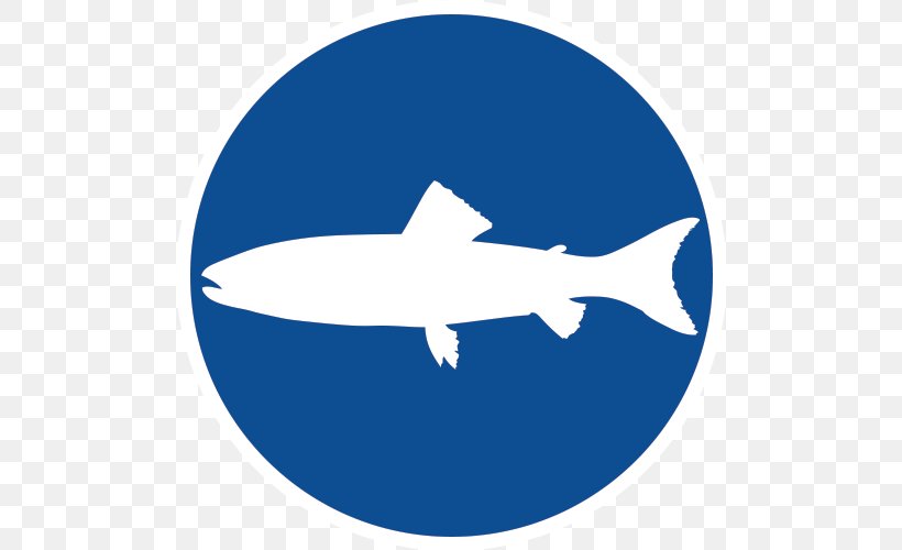 Wikipedia Computer File Shark Traffic Sign August 27, PNG, 500x500px, Wikipedia, August 27, Cartilaginous Fish, Driving, Fin Download Free