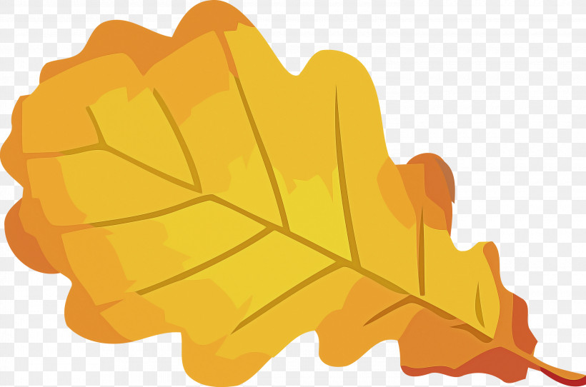 Autumn Leaf Yellow Leaf Leaf, PNG, 3000x1984px, Autumn Leaf, Leaf, Maple Leaf, Plane, Plant Download Free