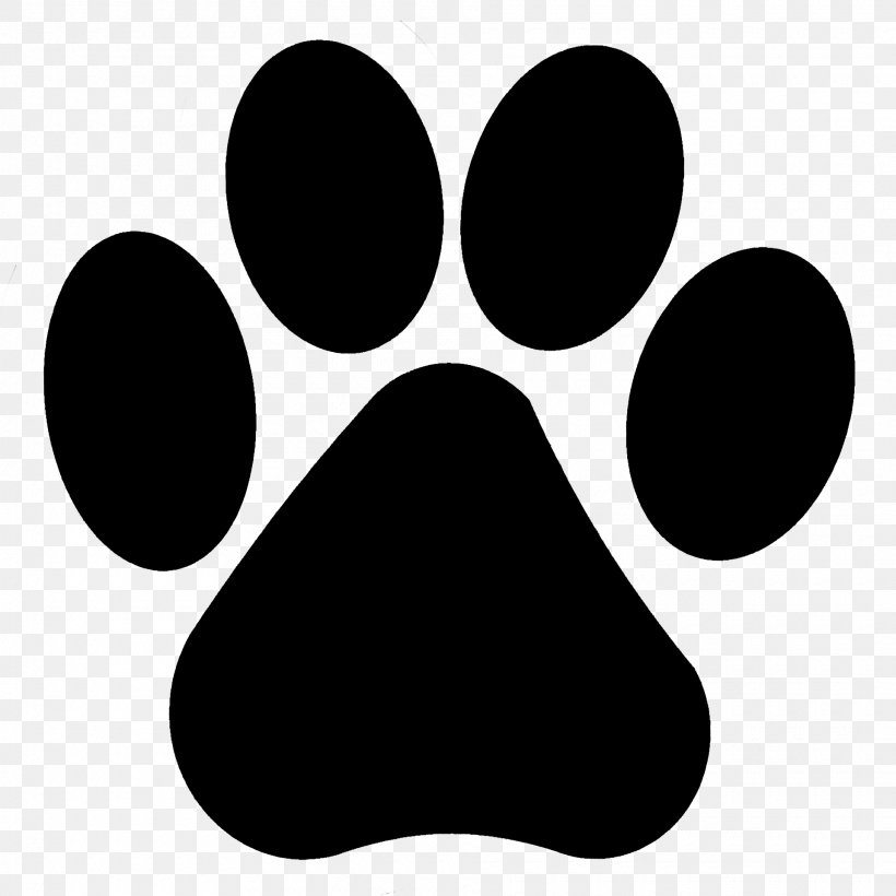 Dog Cat Paw Pet Puppy, PNG, 1920x1920px, Dog, Animal Shelter, Blackandwhite, Cat, Dog Grooming Download Free