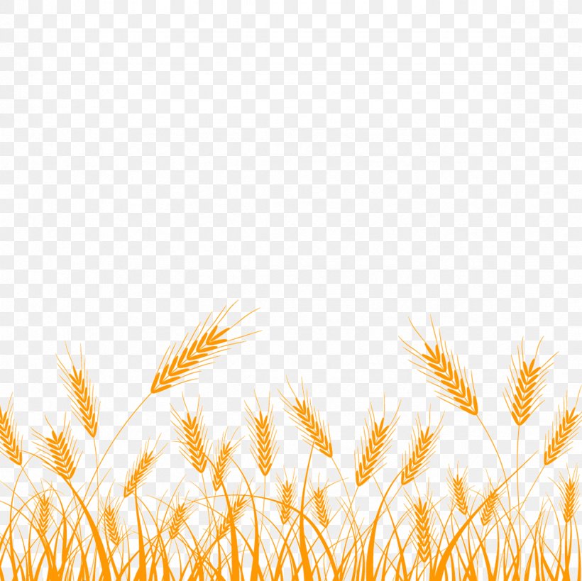 Wheat Silhouette Clip Art, PNG, 2362x2362px, Wheat, Cereal, Commodity, Drawing, Ear Download Free