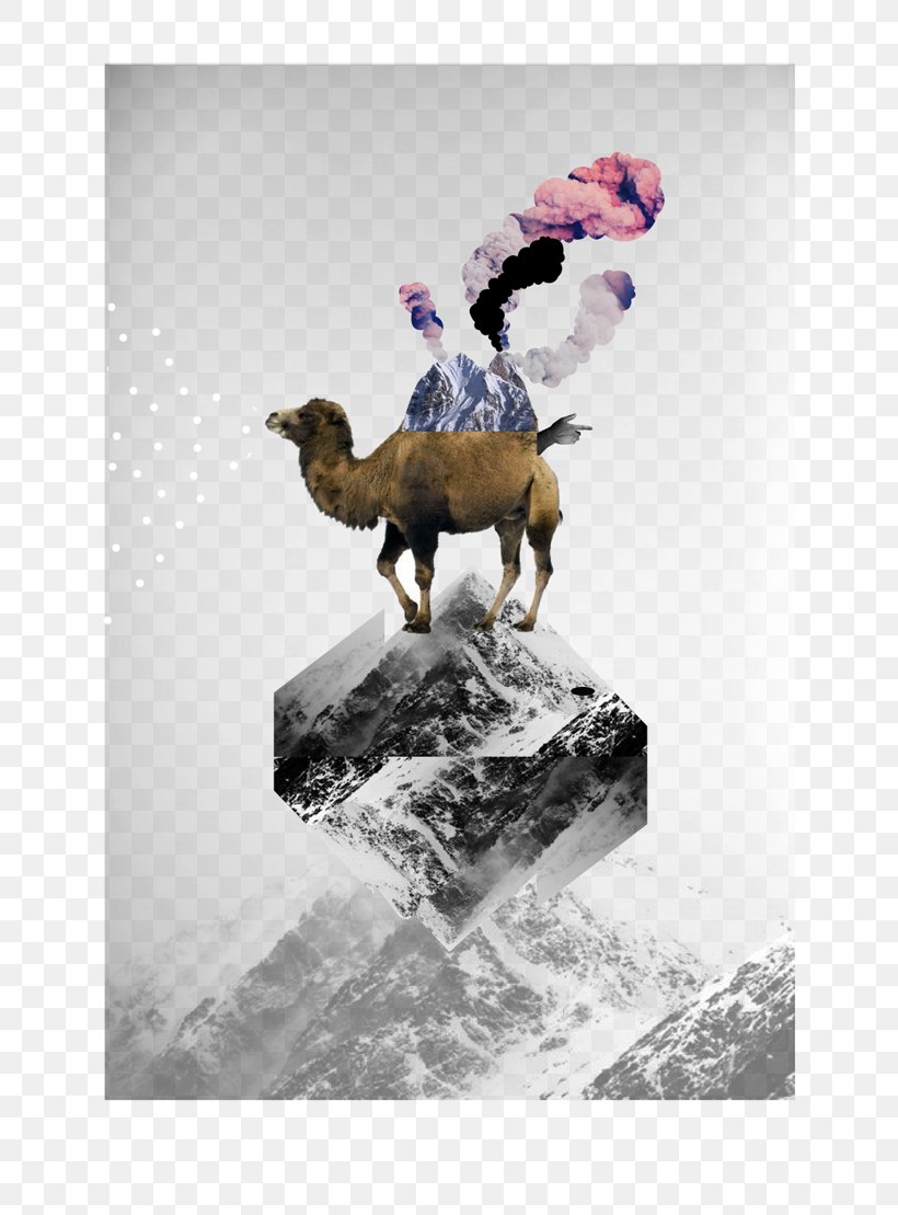Camel Stock Photography Mammal Snow, PNG, 670x1109px, Camel, Art, Camelid, Livestock, Mammal Download Free