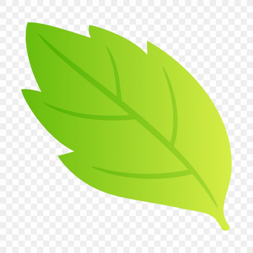 Leaf Green Plant Tree Clip Art, PNG, 1200x1200px, Leaf, Flower, Green, Logo, Plant Download Free